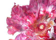 Load image into Gallery viewer, Greeting Cards