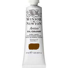 Load image into Gallery viewer, Winsor and Newton Professional Oils - 37ml / Burnt Umber
