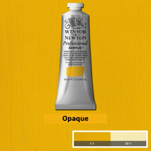 Load image into Gallery viewer, Winsor and Newton Professional Acrylics