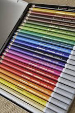 Load image into Gallery viewer, CarbOthello Pastel Pencils