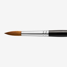 Load image into Gallery viewer, Pro Arte Connoisseur Round Sable Blend Brushes - 12 (6.8 x
