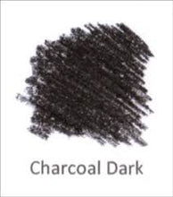 Load image into Gallery viewer, Derwent Tinted Charcoal Pencils
