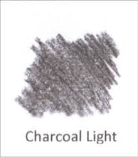 Load image into Gallery viewer, Derwent Tinted Charcoal Pencils
