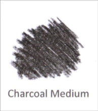 Load image into Gallery viewer, Derwent Tinted Charcoal Pencils