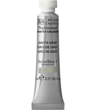 Load image into Gallery viewer, Winsor and Newton Professional Watercolours - 5ml / Davy’s Grey