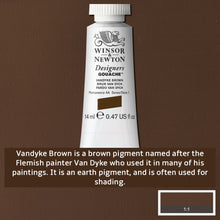 Load image into Gallery viewer, Winsor and Newton Designers Gouache - 14ml / Vandyke Brown