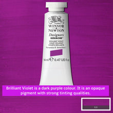 Load image into Gallery viewer, Winsor and Newton Designers Gouache - 14ml / Brilliant Violet

