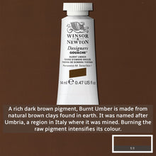 Load image into Gallery viewer, Winsor and Newton Designers Gouache - 14ml / Burnt Umber