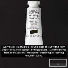 Load image into Gallery viewer, Winsor and Newton Designers Gouache - 14ml / Ivory Black
