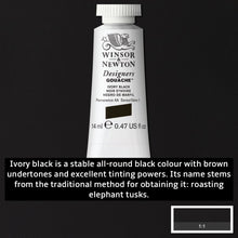 Load image into Gallery viewer, Winsor and Newton Designers Gouache - 14ml / Ivory Black