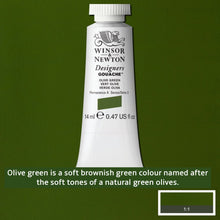 Load image into Gallery viewer, Winsor and Newton Designers Gouache - 14ml / Olive Green
