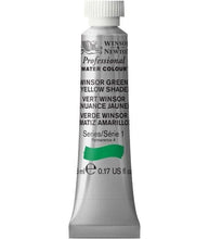 Load image into Gallery viewer, Winsor and Newton Professional Watercolours - 5ml / Winsor Green Yellow Shade