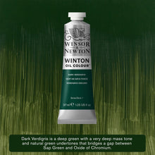 Load image into Gallery viewer, Winsor and Newton Winton Oil Paints - 37ml / Dark Verdigris