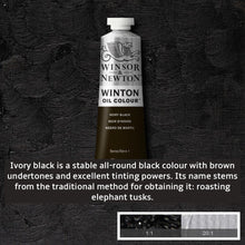 Load image into Gallery viewer, Winsor and Newton Winton Oil Paints - 37ml / Ivory Black -
