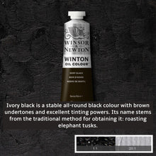 Load image into Gallery viewer, Winsor and Newton Winton Oil Paints - 37ml / Ivory Black -