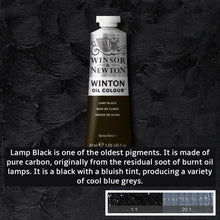 Load image into Gallery viewer, Winsor and Newton Winton Oil Paints - 37ml / Lamp Black -
