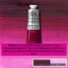 Load image into Gallery viewer, Winsor and Newton Winton Oil Paints - 37ml / Magenta - Paint