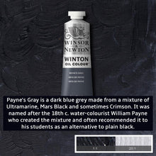 Load image into Gallery viewer, Winsor and Newton Winton Oil Paints - 37ml / Payne’s Grey -
