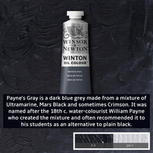 Load image into Gallery viewer, Winsor and Newton Winton Oil Paints - 37ml / Payne’s Grey -
