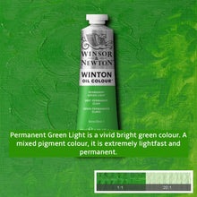 Load image into Gallery viewer, Winsor and Newton Winton Oil Paints - 37ml / Permanent Green Light