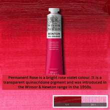 Load image into Gallery viewer, Winsor and Newton Winton Oil Paints - 37ml / Permanent Rose