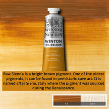 Load image into Gallery viewer, Winsor and Newton Winton Oil Paints - 37ml / Raw Sienna -
