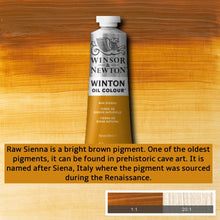 Load image into Gallery viewer, Winsor and Newton Winton Oil Paints - 37ml / Raw Sienna -