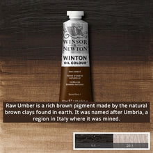 Load image into Gallery viewer, Winsor and Newton Winton Oil Paints - 37ml / Raw Umber -