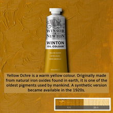 Load image into Gallery viewer, Winsor and Newton Winton Oil Paints - 37ml / Yellow Ochre -
