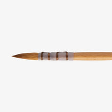 Load image into Gallery viewer, Sablesque Brushes
