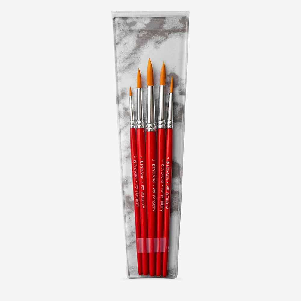 AWA Pro Arte Brush Set