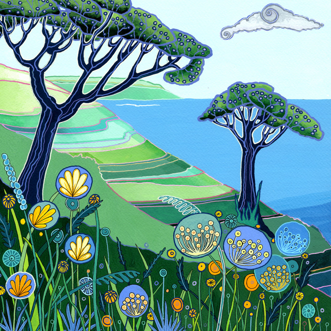 Clifftop
