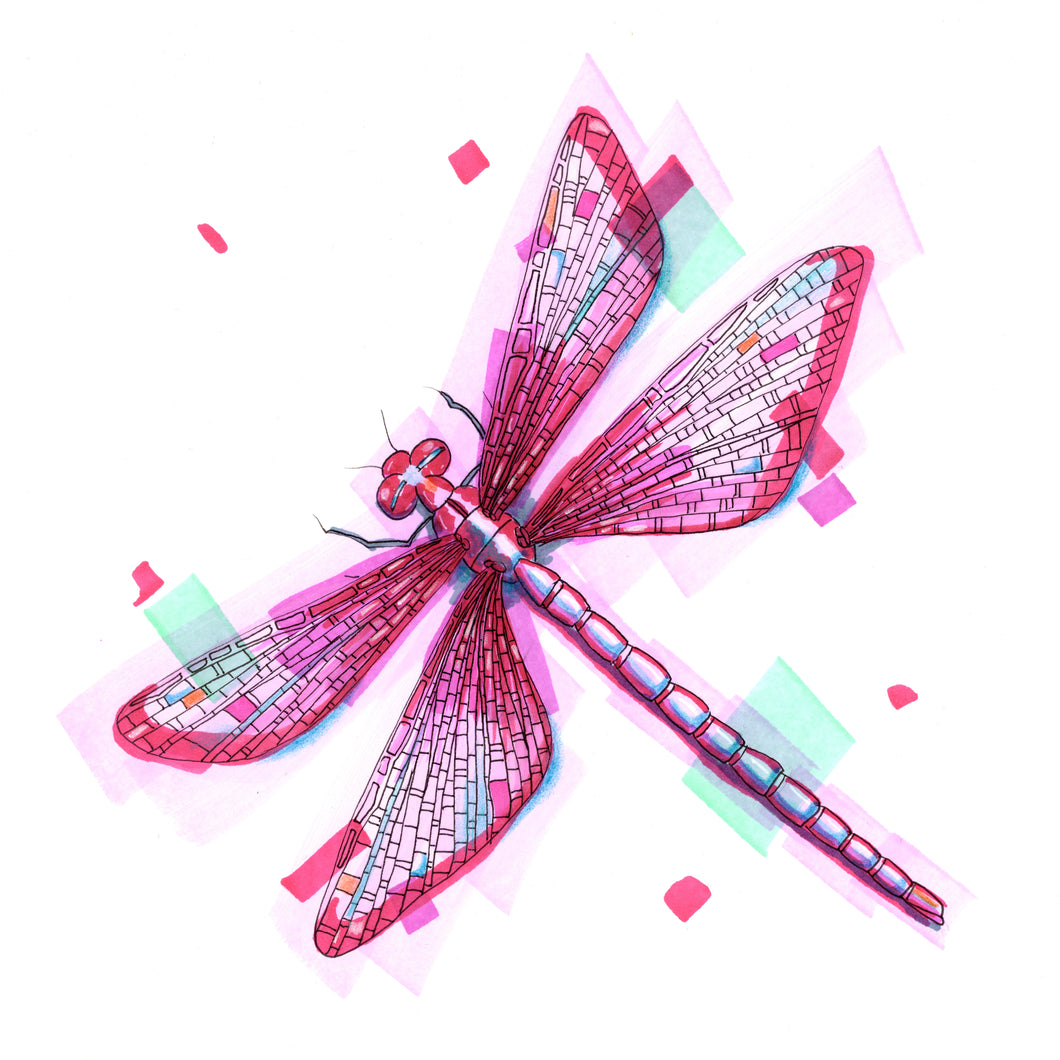 Dragonfly