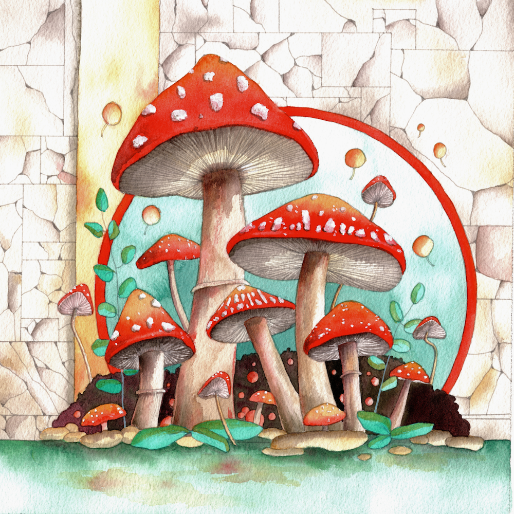 Mushies I