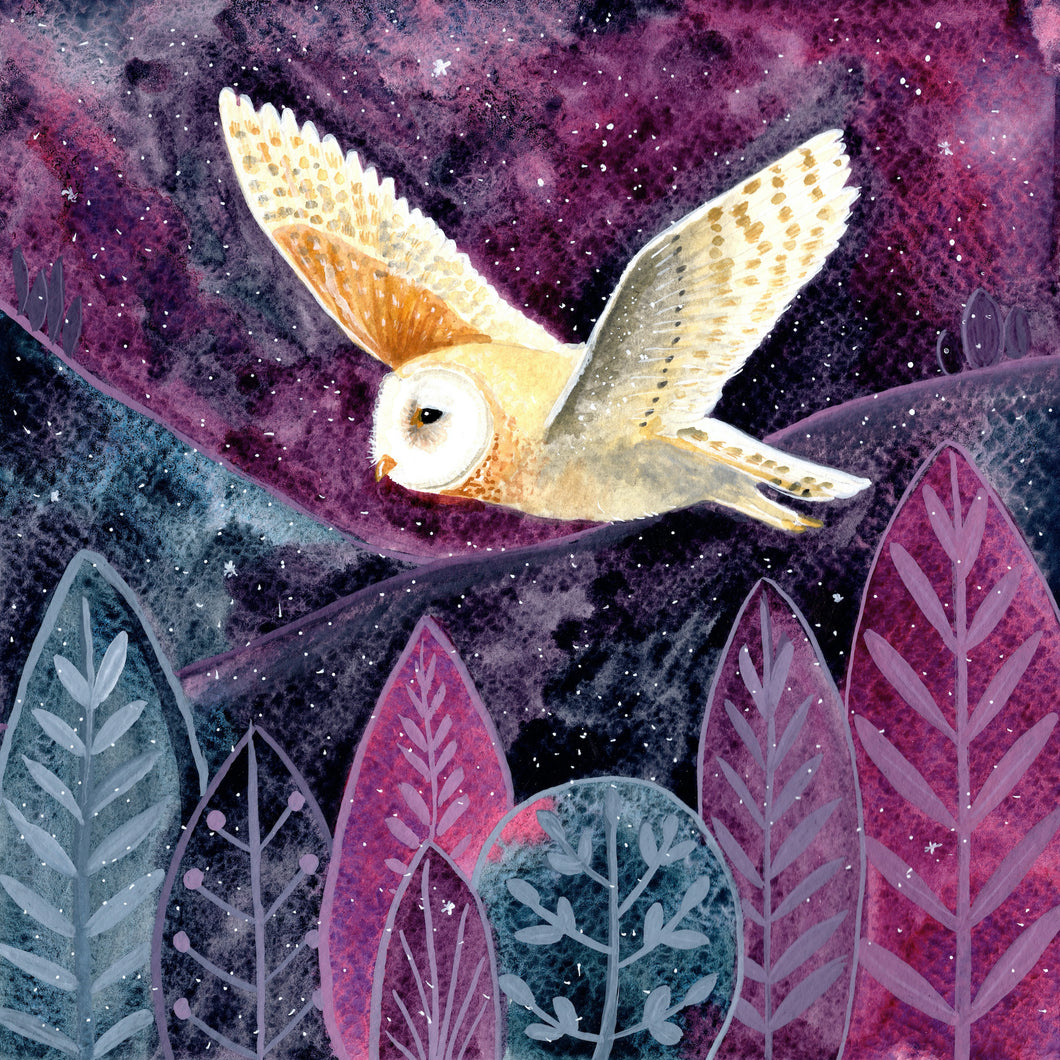 Night Owl