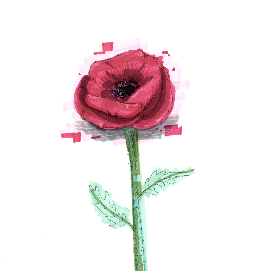 Poppy