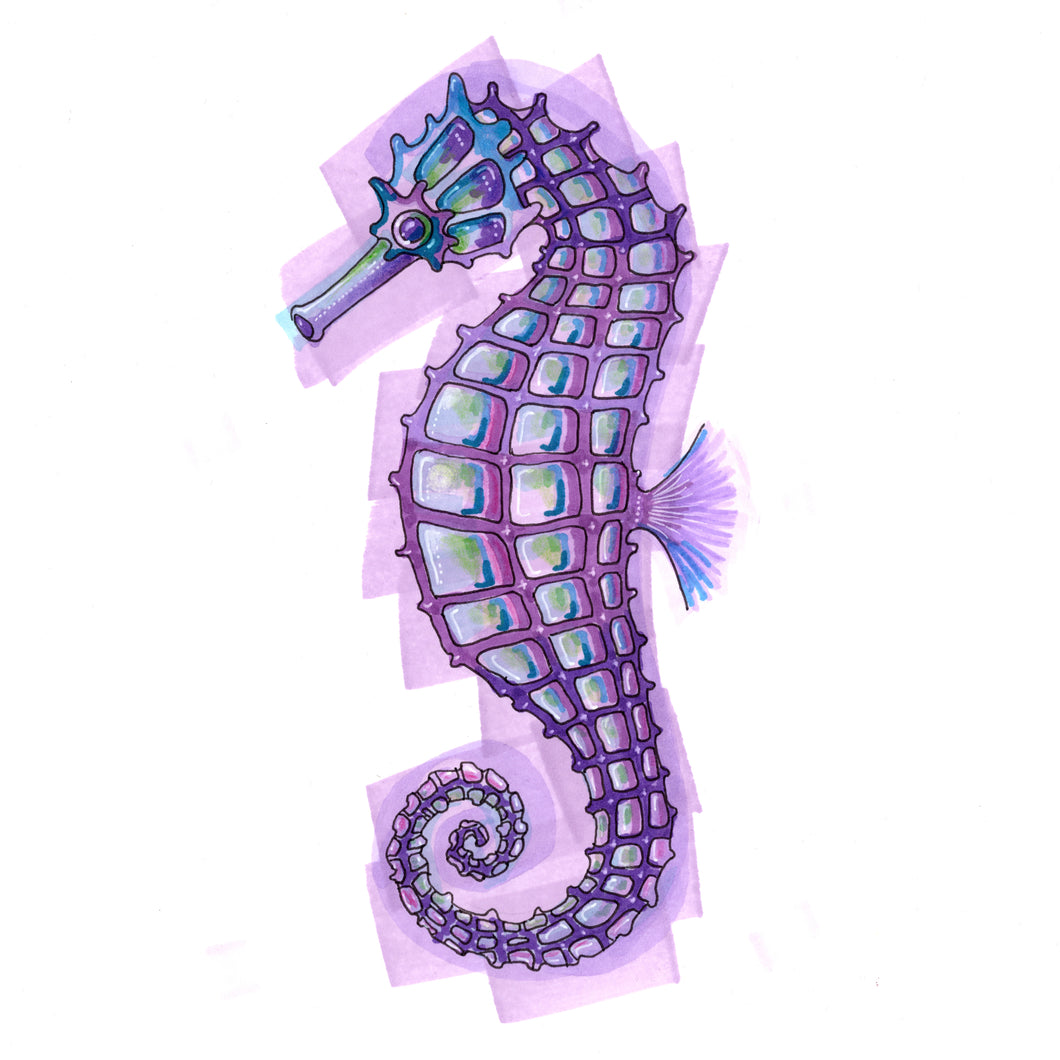 Seahorse