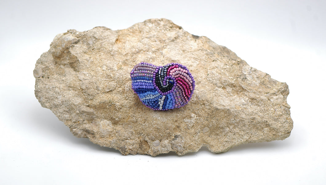 Seashell II