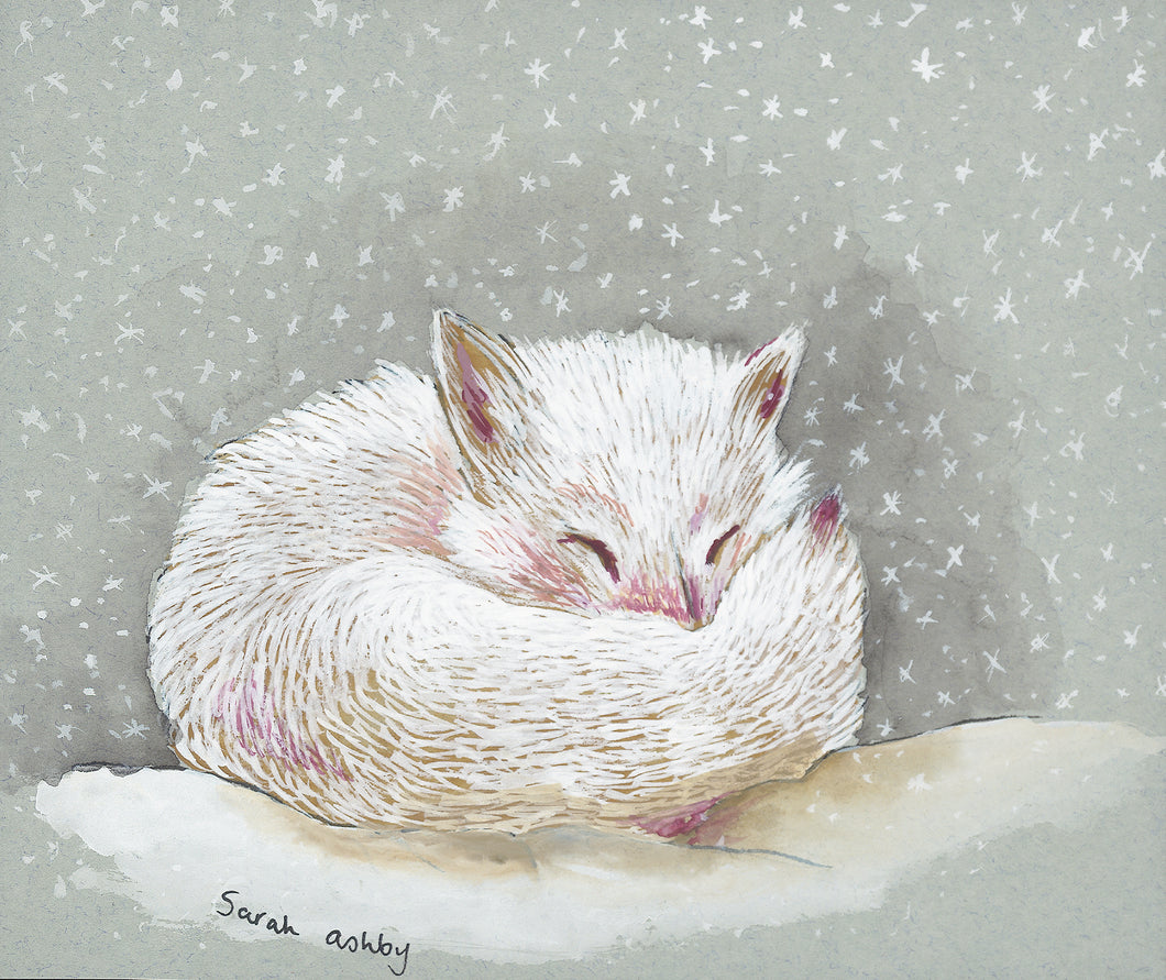 Arctic Fox