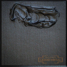 Load image into Gallery viewer, Roberson Liquid Metal Ink
