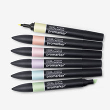Load image into Gallery viewer, Pastel Tones Winsor and Newton Pro Markers
