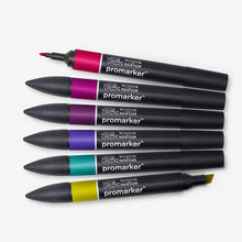 Load image into Gallery viewer, Rich Tones Winsor and Newton Pro Markers
