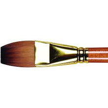 Load image into Gallery viewer, Pro Arte Prolene Plus Flats 008 - 1 1/4 / Flat - Brushes
