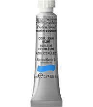 Load image into Gallery viewer, Winsor and Newton Professional Watercolours - 5ml / Cerulean Blue

