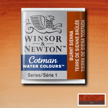Load image into Gallery viewer, Cotman Watercolours - Burnt Sienna / Half Pans
