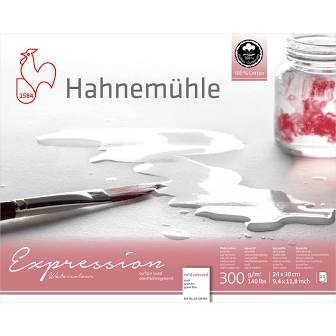 Hahnemühle Expression 300gsm Cold Pressed Watercolour Paper