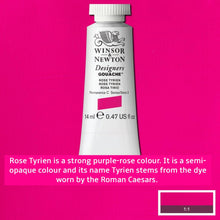 Load image into Gallery viewer, Winsor and Newton Designers Gouache - 14ml / Rose Tyrien
