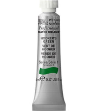 Load image into Gallery viewer, Winsor and Newton Professional Watercolours - 5ml / Hooker’s Green

