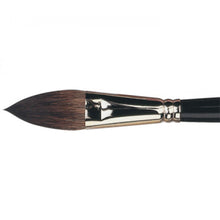 Load image into Gallery viewer, Pro Arte Kazan Squirrel Brushes - Small / Pointed Filbert

