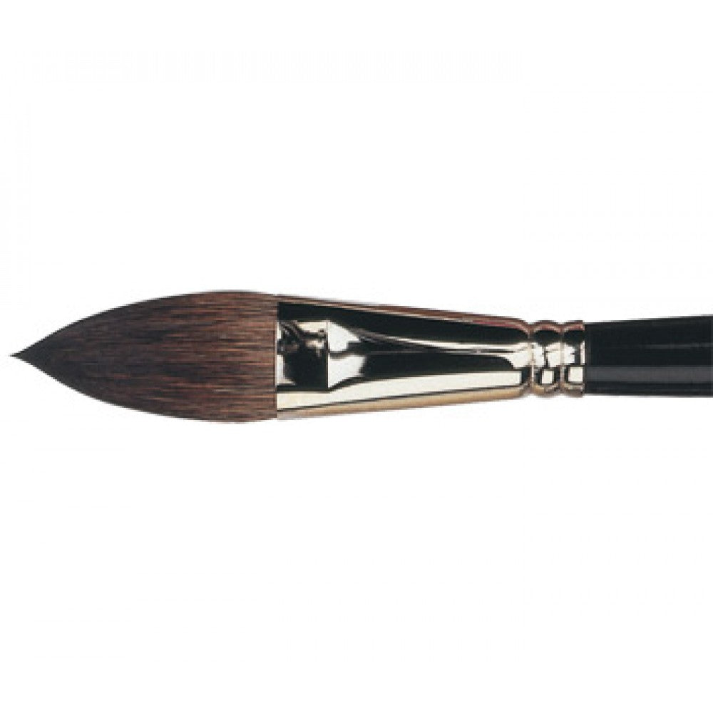 Pro Arte Kazan Squirrel Brushes - Small / Pointed Filbert